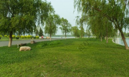 莲花湖边图片