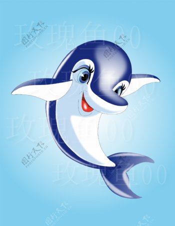 海豚海豚男孩图片