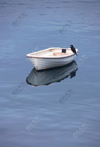 湖上的小白船图片