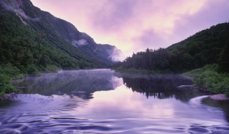 紫色仙境图片
