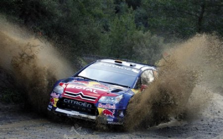 WRC雪铁龙C4图片