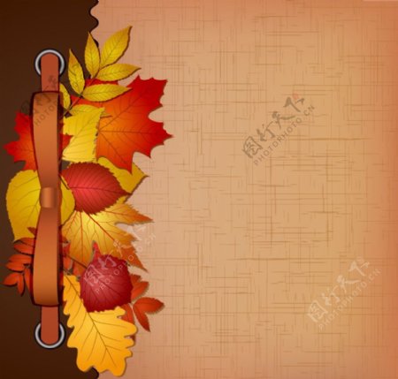 秋天树叶标签背景图片