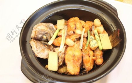 姜葱沙窝椰汁鲈鱼图片