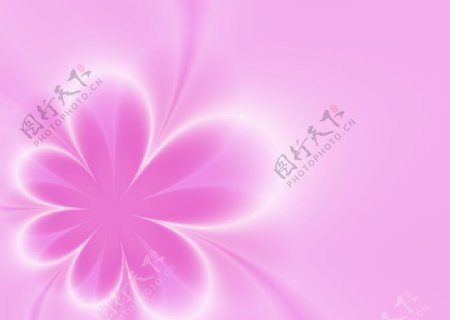 日式粉红色花语图片