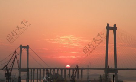 黄埔大桥图片