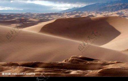 美國大沙丘图片