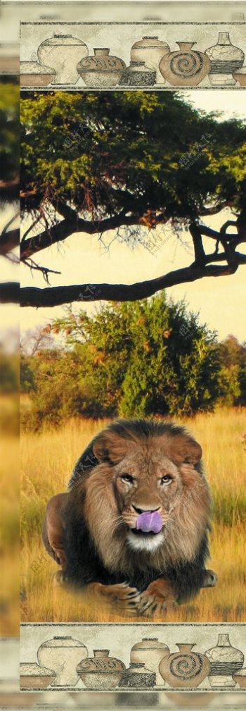 非洲狮子无框画图片