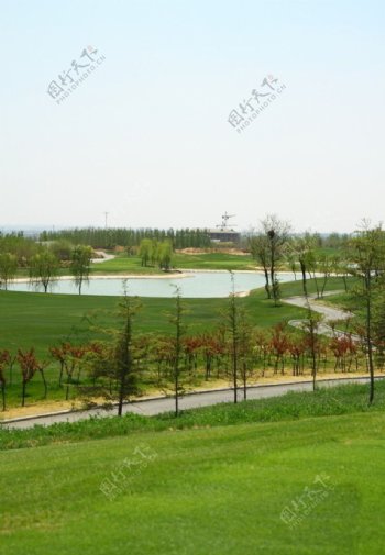 潍坊高尔夫球场图片