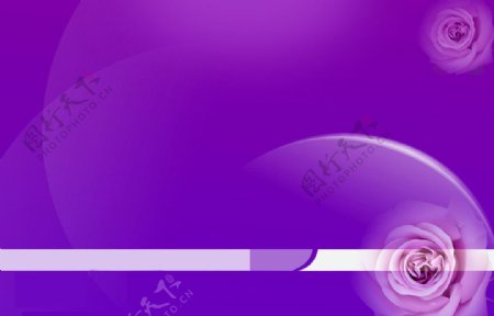 紫色画册封面图片