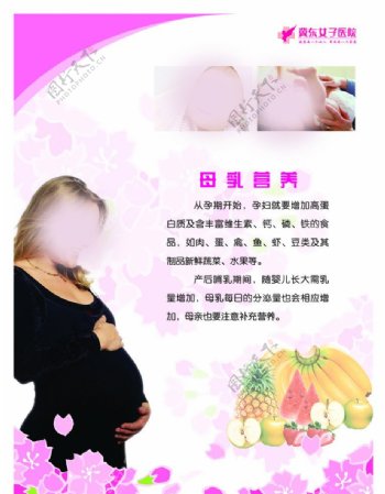 母乳营养图片