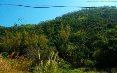 龙岗南澳一路风景山水图片