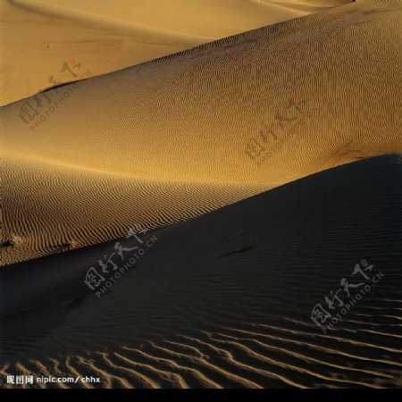 沙漠剪影图片