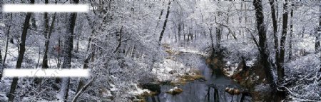 小溪雪景图片