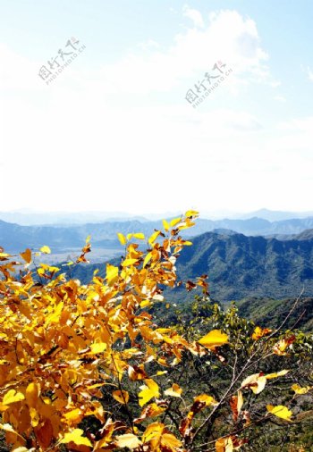 慕田峪的秋天图片