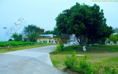 梅县机场社区道路图片