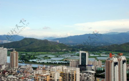 俯视深圳河套地区图片