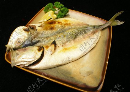 盐烤竹荚鱼图片