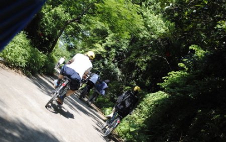 骑游肇庆绿道图片