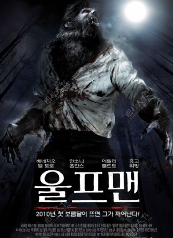 狼人电影海报韩国版图片