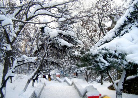 雪景图片