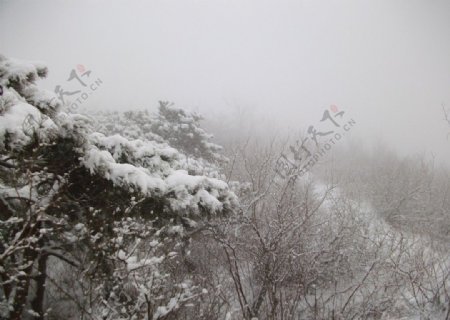 清晨的雪山雾景图片