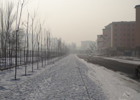 雪景马路图片