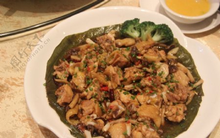 粤菜荷叶茶树菇蒸鸡图片