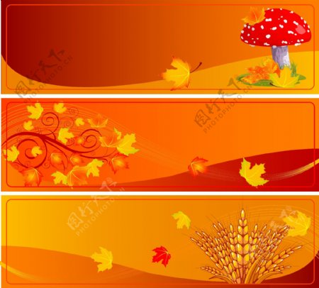 秋天枫叶蘑菇麦穗梦幻背景图片