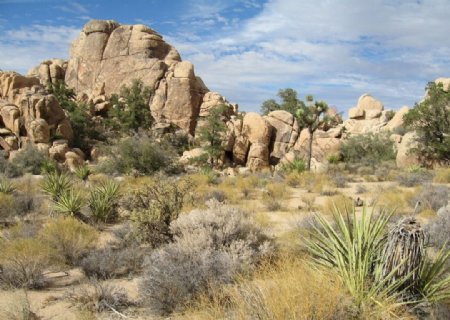 沙漠山石图片