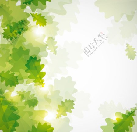 绿色树叶底纹背景图片