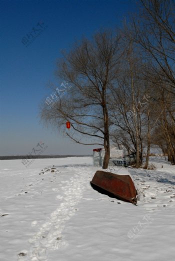 冬日小景图片