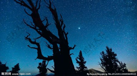 繁星图片