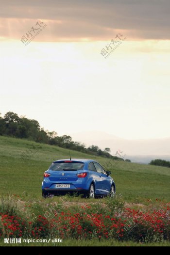 西亚特08款Ibiza图片