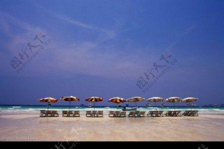 一排沙滩躺椅图片