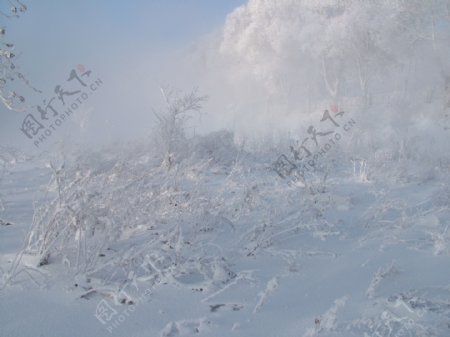 江城雪景图片