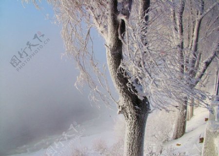 江城雪景图片