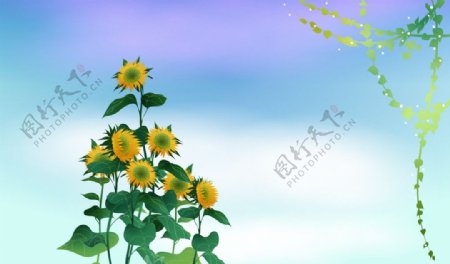 梦幻系列向日葵的孤单图片