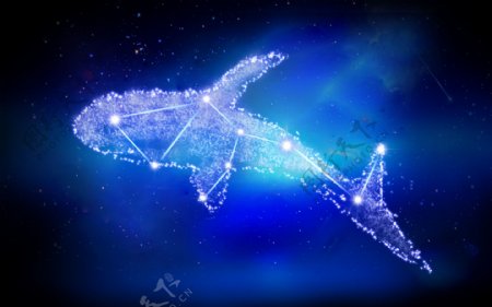 梦幻的鲸鱼星座图图片