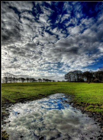 草地水塘天空白云图片