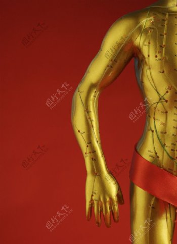 人体经脉穴位图片