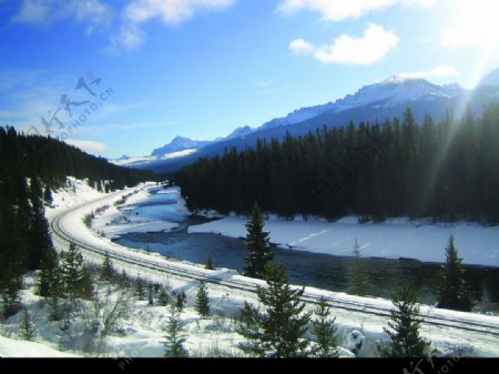 Banff雪山公路雪林雪地图片