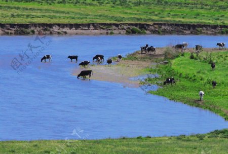 内蒙古河流图片
