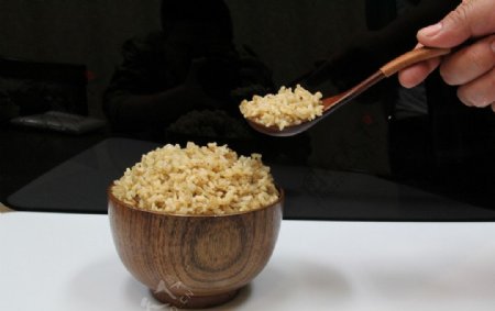 糙米饭胚芽米米饭图片