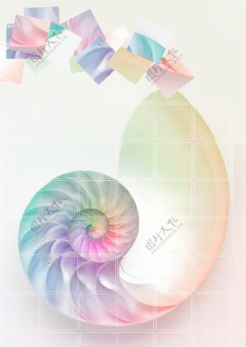 鹦鹉螺拼图图片