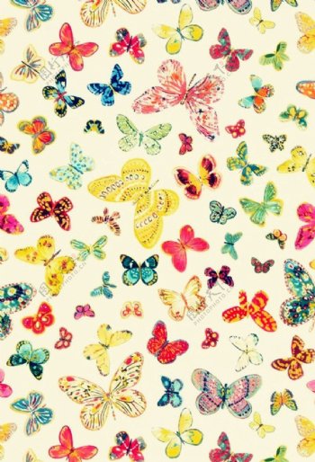 彩色蝴蝶背景图片