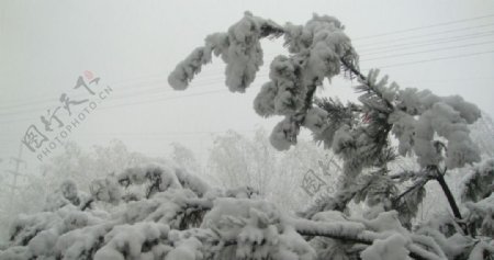 雪天景色图片