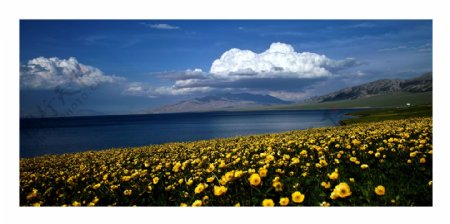 赛里木湖的春天图片