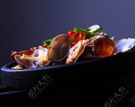 石锅花蛤图片