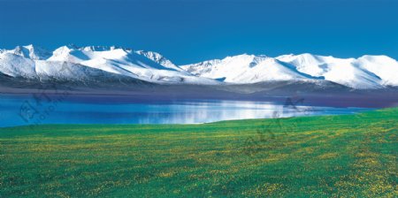 新疆雪山草地图片