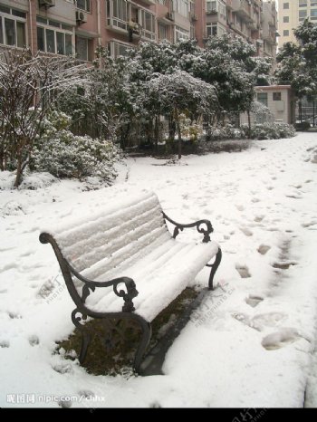 被雪覆盖的椅图片